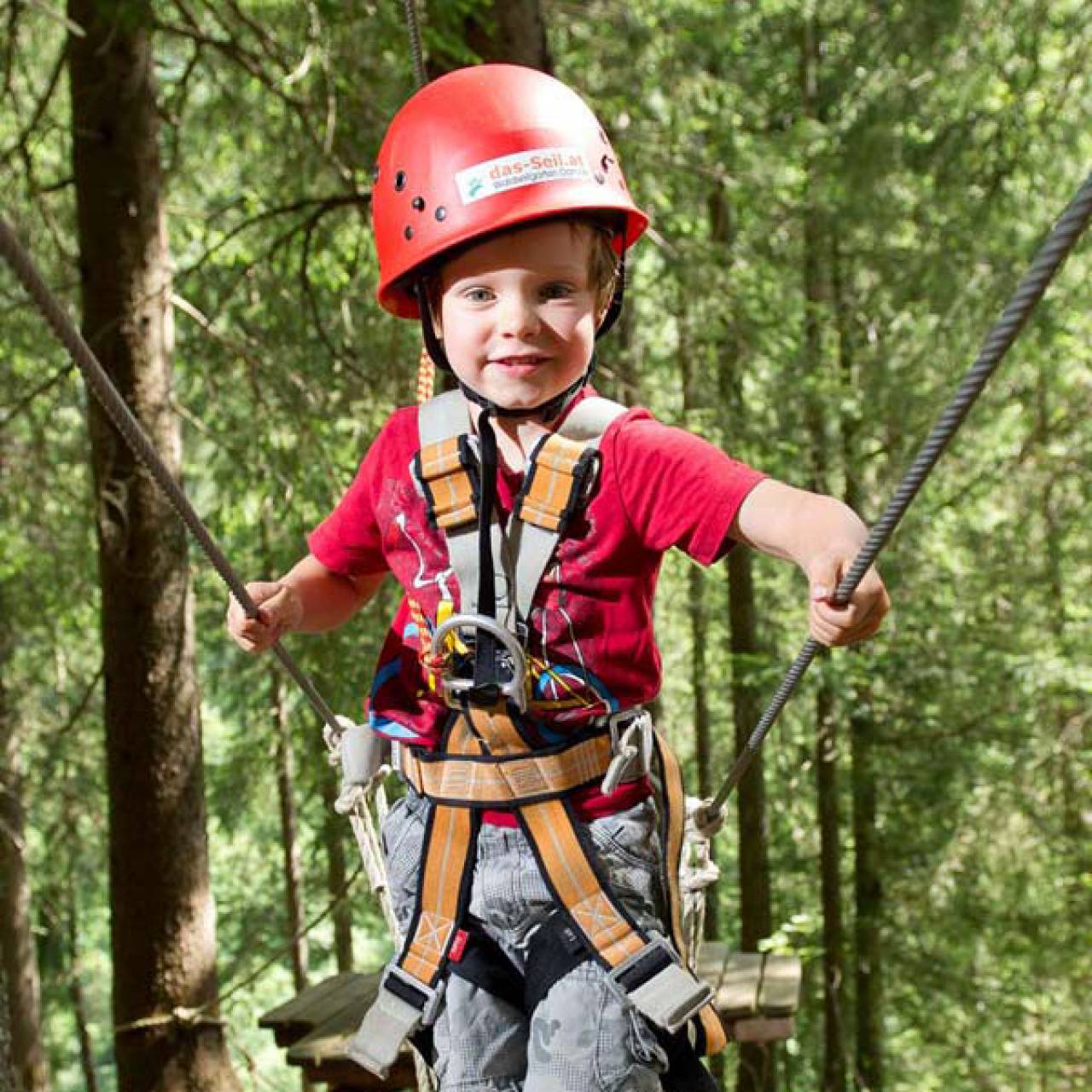 Forest rope course