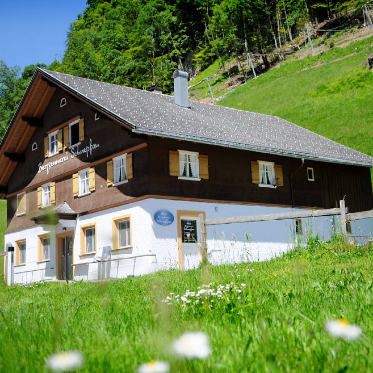 Der Vorarlberger Bergkäse