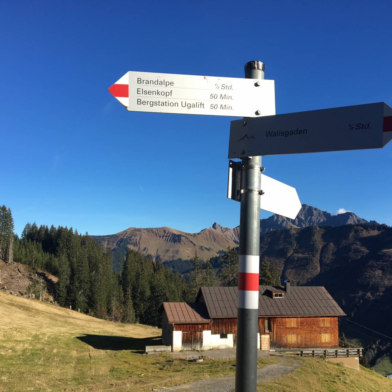 Wegweiser Richtung Brandalpe, Elsenkopf und Bergstation Ugalift