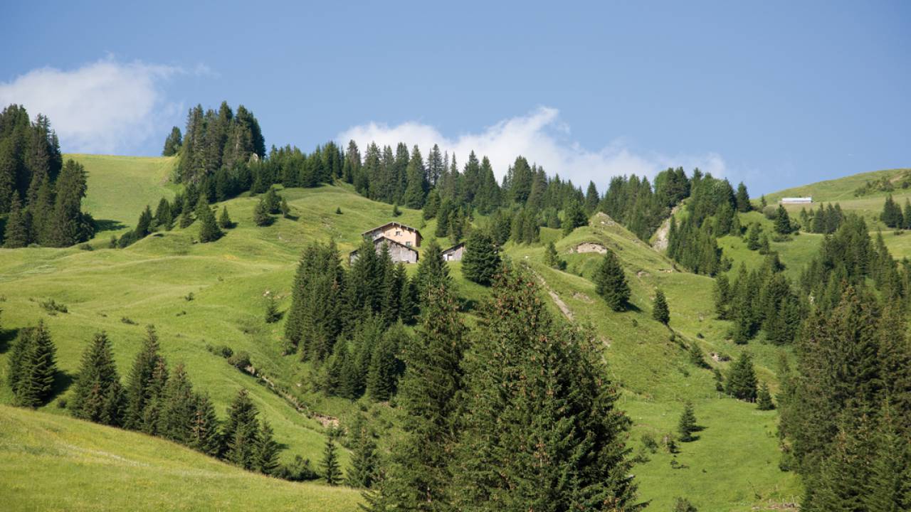 Geführte Wanderungen von BERGaktiv