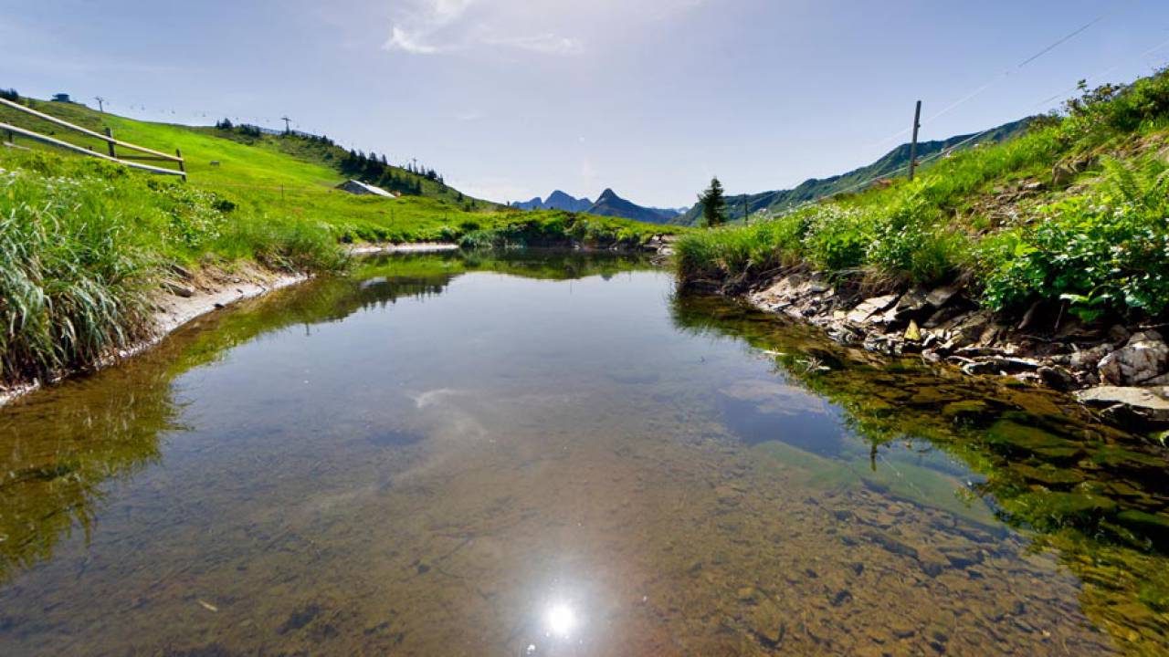 Pools and bathing lakes