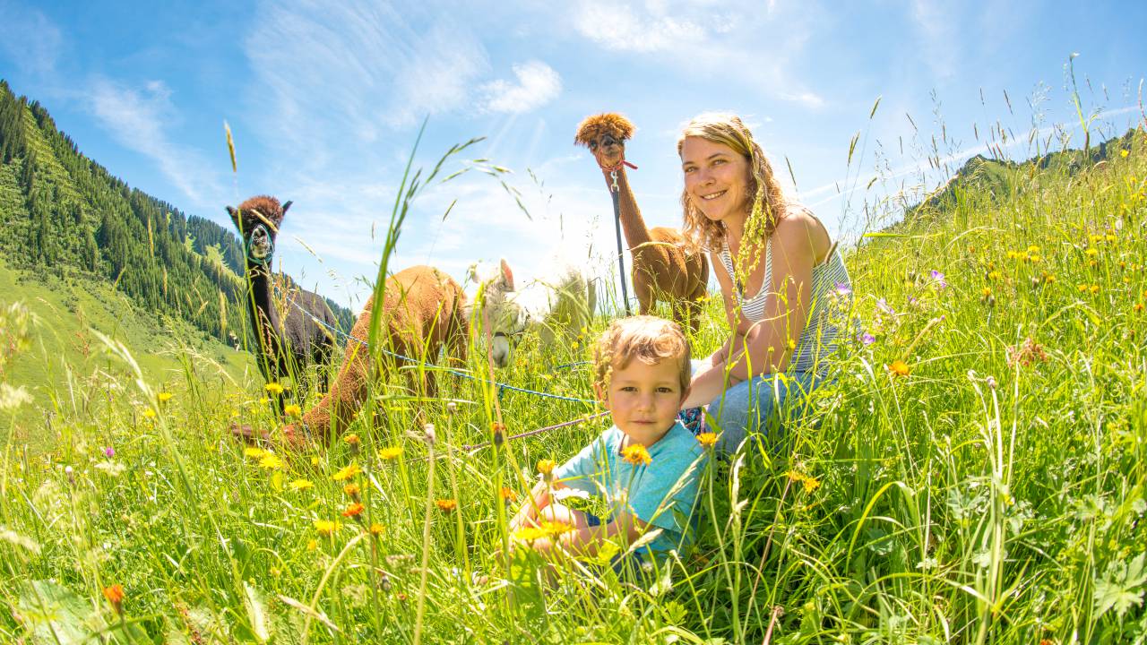 Die Natur- und Lebenswelt Vorarlbergs