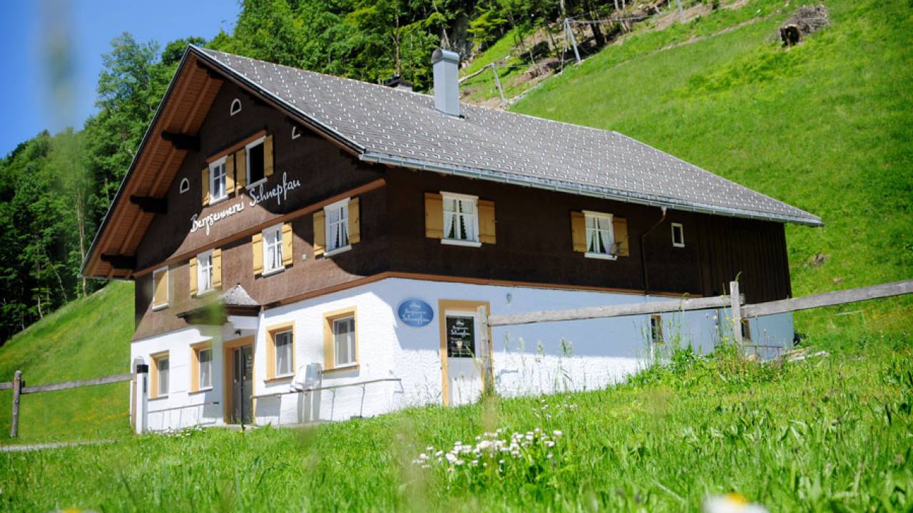 Der Vorarlberger Bergkäse