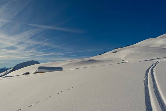 Cross-Country Skiing